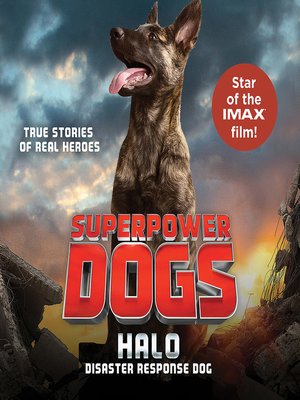 cover image of Halo, Disaster Response Dog